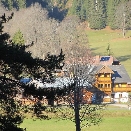 Апартаменти Obergrabnerhof Рамзау-ам-Дахштайн Екстер'єр фото